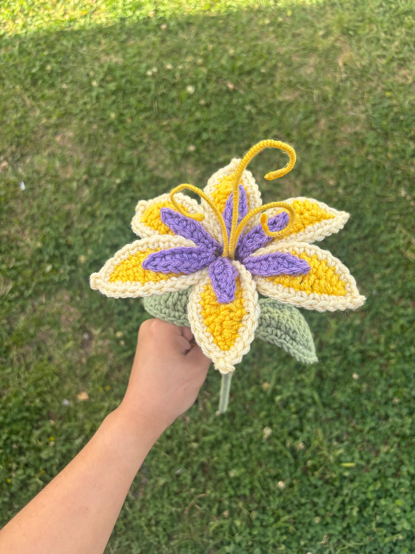 Tangled Sundrop Flower
