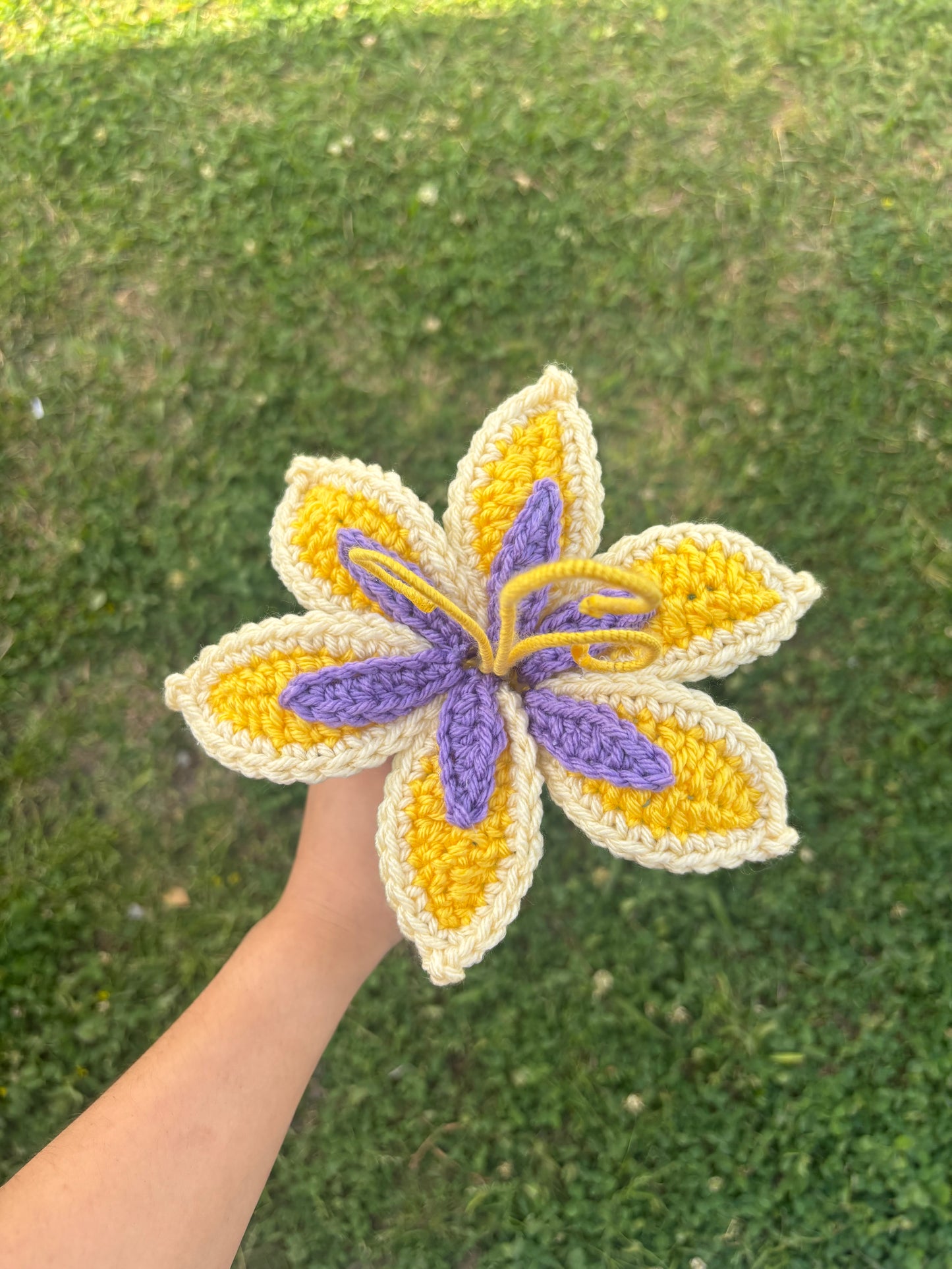 Tangled Sundrop Flower